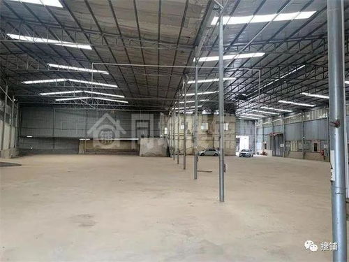 中江興隆鎮(zhèn)清河6000平廠庫房出租，可分租，適合廣告設(shè)計(jì)等多元化用途