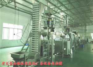 藍(lán)莓干食品包裝機(jī)與全自動食品顆粒包裝機(jī) 提升生產(chǎn)效率的智能選擇